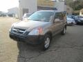 2002 Mojave Mist Metallic Honda CR-V EX 4WD  photo #4