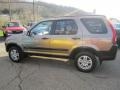 2002 Mojave Mist Metallic Honda CR-V EX 4WD  photo #5