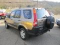 2002 Mojave Mist Metallic Honda CR-V EX 4WD  photo #6