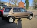 2002 Mojave Mist Metallic Honda CR-V EX 4WD  photo #9