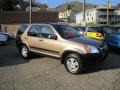 2002 Mojave Mist Metallic Honda CR-V EX 4WD  photo #11