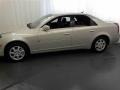 Light Platinum - CTS Sedan Photo No. 18