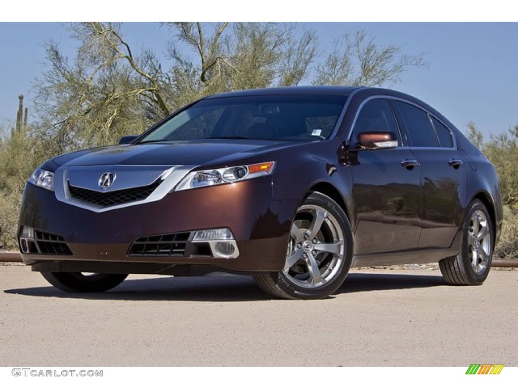 Mayan Bronze Metallic 2010 Acura TL 3.7 SH-AWD Technology Exterior Photo #62542665
