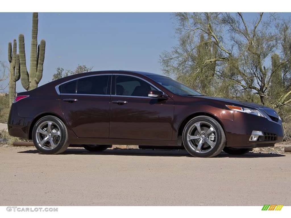 Mayan Bronze Metallic 2010 Acura TL 3.7 SH-AWD Technology Exterior Photo #62542708
