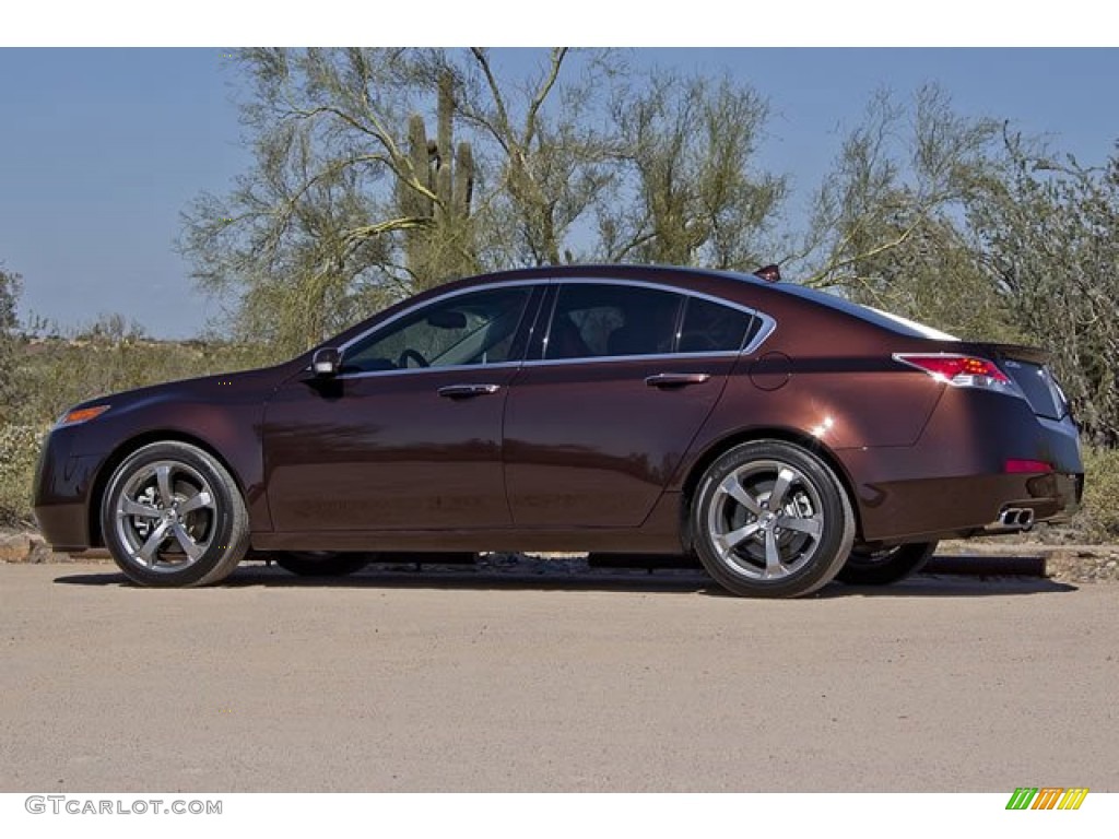 Mayan Bronze Metallic 2010 Acura TL 3.7 SH-AWD Technology Exterior Photo #62542771