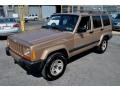Desert Sand Pearl - Cherokee Sport 4x4 Photo No. 4