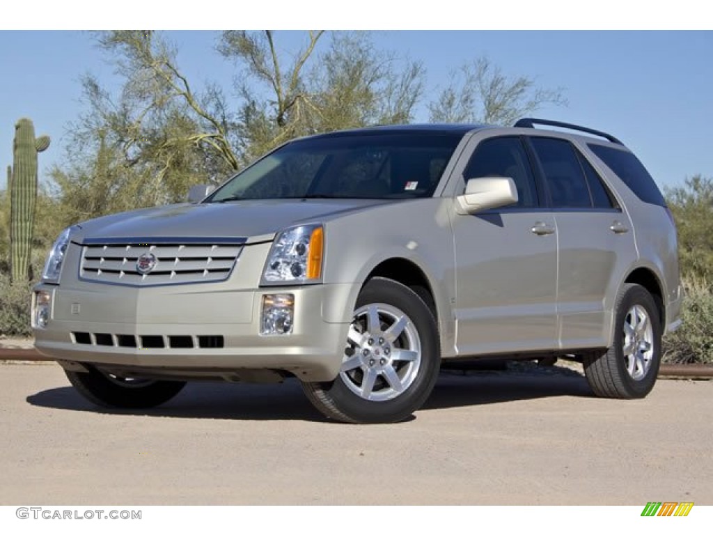 Gold Mist 2008 Cadillac SRX V6 Exterior Photo #62544754