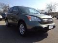 2009 Green Tea Metallic Honda CR-V EX-L 4WD  photo #7