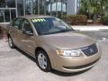 Golden Cashmere - ION 2 Sedan Photo No. 1