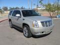 Gold Mist - Escalade AWD Photo No. 3