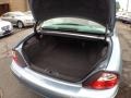 2003 Jaguar S-Type Dove Interior Trunk Photo