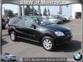 Black - ML 350 4Matic Photo No. 1