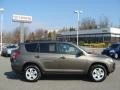 Pyrite Metallic - RAV4 I4 4WD Photo No. 1