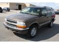 1999 Medium Beige Mystique Metallic Chevrolet Blazer LT 4x4  photo #3