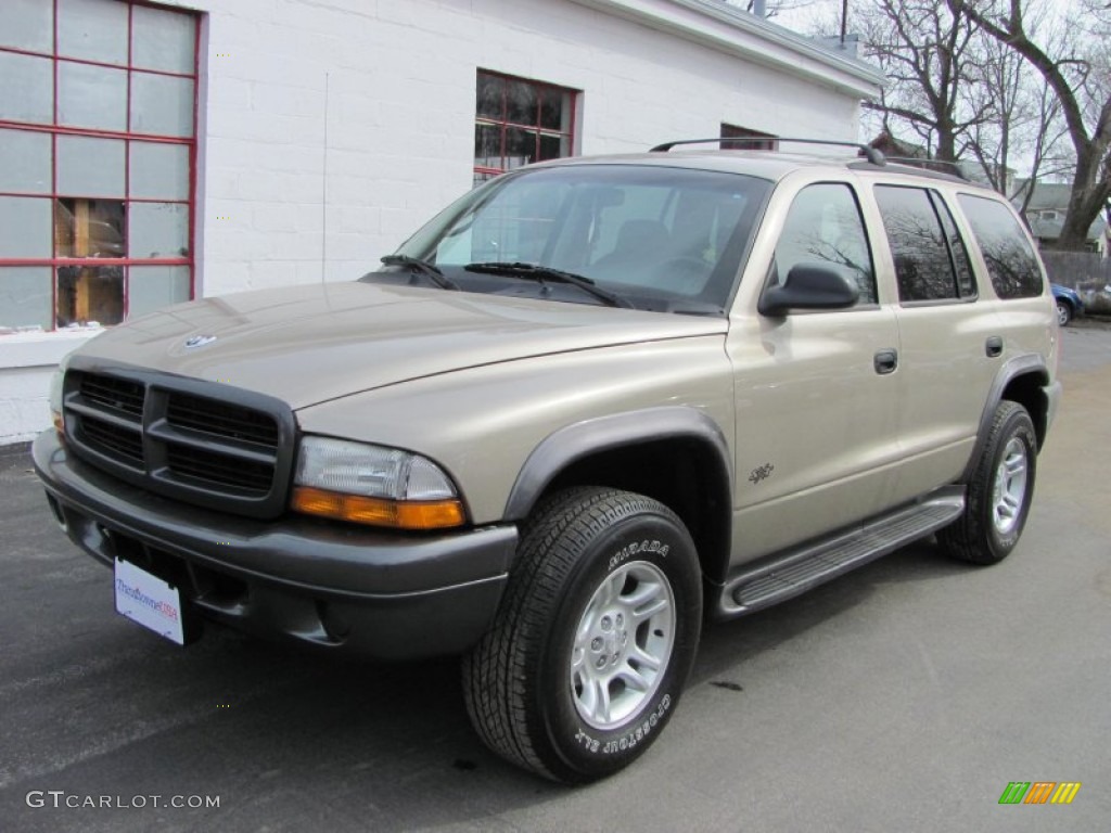 2002 Durango Sport 4x4 - Light Almond Pearl Metallic / Dark Slate Gray photo #1