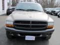 2002 Light Almond Pearl Metallic Dodge Durango Sport 4x4  photo #15