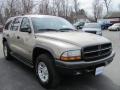 2002 Light Almond Pearl Metallic Dodge Durango Sport 4x4  photo #16