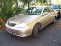 Desert Sand Mica - Camry LE Photo No. 4