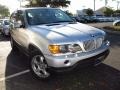 Titanium Silver Metallic - X5 4.4i Photo No. 1