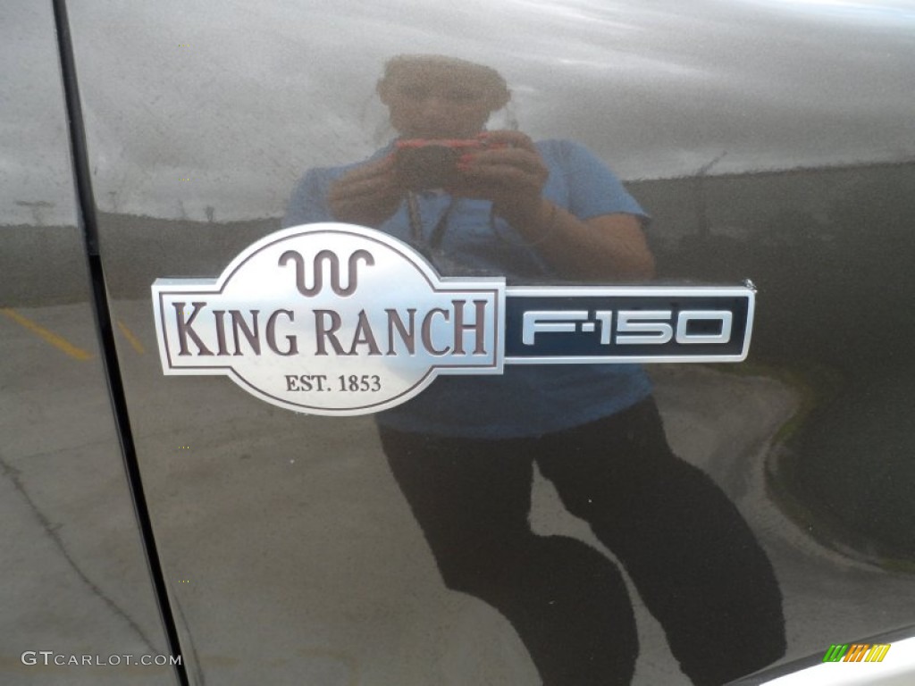 2008 F150 King Ranch SuperCrew - Stone Green Metallic / Tan/Castaño Leather photo #17
