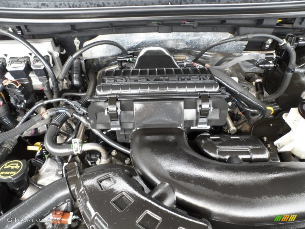 2008 Ford F150 FX4 SuperCrew 4x4 5.4 Liter SOHC 24-Valve Triton V8 Engine Photo #62569837