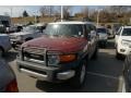 Brick Red - FJ Cruiser 4WD Photo No. 4