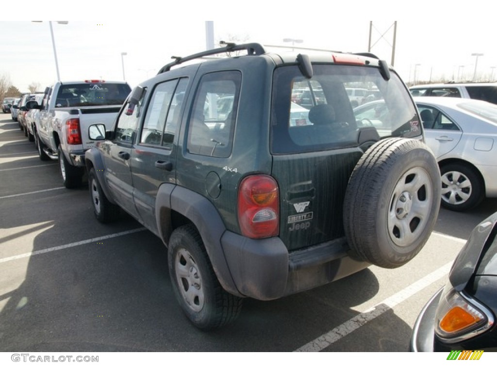 2002 Liberty Sport 4x4 - Shale Green Metallic / Dark Slate Gray photo #3