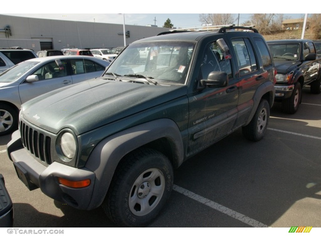 2002 Liberty Sport 4x4 - Shale Green Metallic / Dark Slate Gray photo #4