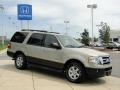 Pueblo Gold Metallic - Expedition XLT Photo No. 3