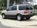 Pueblo Gold Metallic - Expedition XLT Photo No. 6