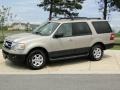 Pueblo Gold Metallic - Expedition XLT Photo No. 9