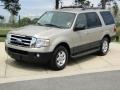 Pueblo Gold Metallic 2007 Ford Expedition XLT Exterior