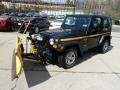 Black Clearcoat - Wrangler X 4x4 Photo No. 8