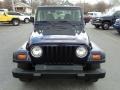 Deep Amethyst Pearlcoat - Wrangler SE 4x4 Photo No. 18
