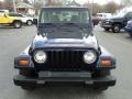 1999 Deep Amethyst Pearlcoat Jeep Wrangler SE 4x4  photo #18