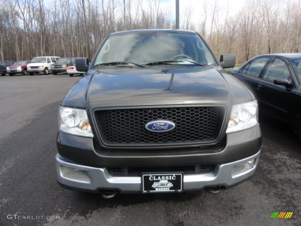 2005 F150 XLT SuperCrew 4x4 - Dark Stone Metallic / Tan photo #2