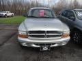 2002 Bright Silver Metallic Dodge Durango SLT Plus 4x4  photo #2