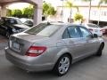 2008 Pewter Metallic Mercedes-Benz C 300 Luxury  photo #2