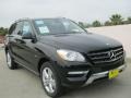 Black - ML 350 4Matic Photo No. 1