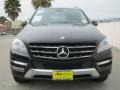 Black - ML 350 4Matic Photo No. 2