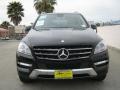 Black - ML 350 4Matic Photo No. 2