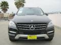 Black - ML 350 4Matic Photo No. 2