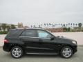Black - ML 350 4Matic Photo No. 3