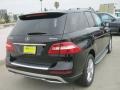 Black - ML 350 4Matic Photo No. 4