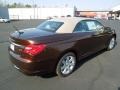 Deep Auburn Pearl - 200 Touring Convertible Photo No. 6