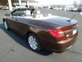 Deep Auburn Pearl - 200 Touring Convertible Photo No. 23
