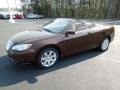 Deep Auburn Pearl - 200 Touring Convertible Photo No. 26