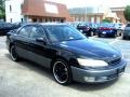 Black Onyx - ES 300 Photo No. 4