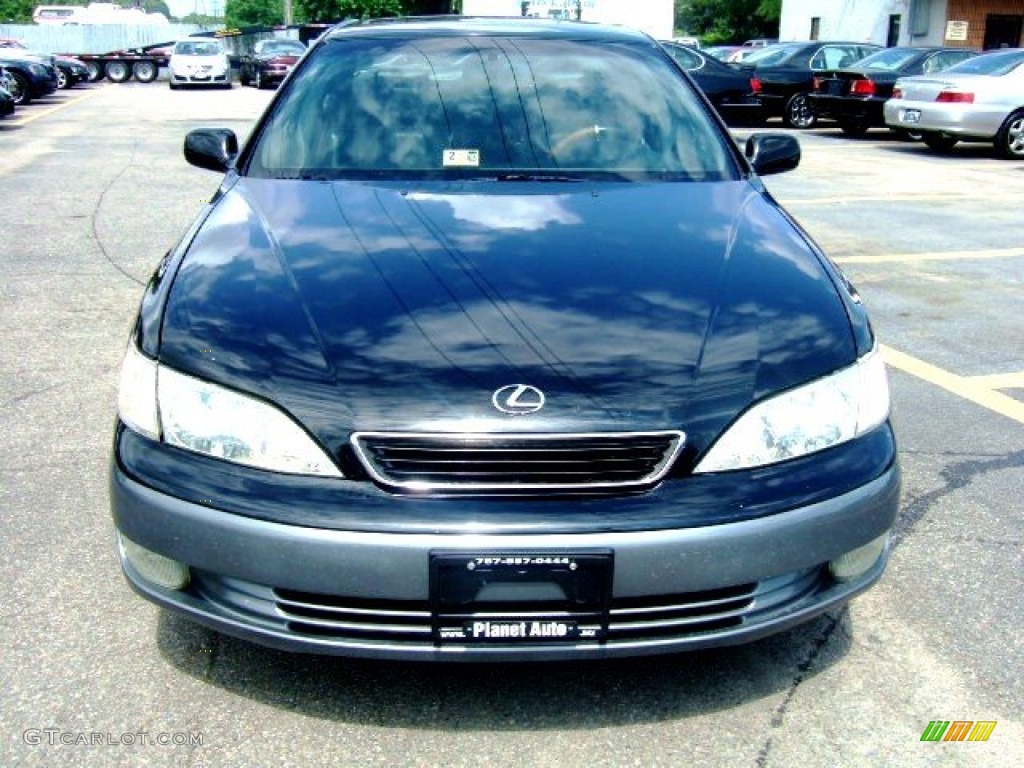 1999 ES 300 - Black Onyx / Sage photo #6