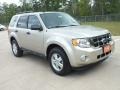 2012 Gold Leaf Metallic Ford Escape XLT  photo #1